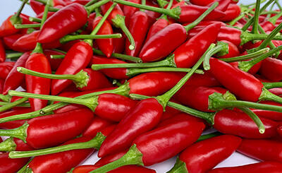 Chilli - SPS Austraila